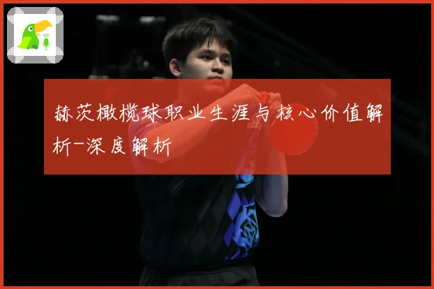 赫茨橄榄球职业生涯与核心价值解析-深度解析