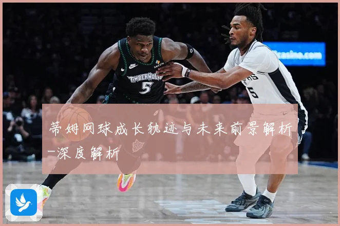 蒂姆网球成长轨迹与未来前景解析-深度解析