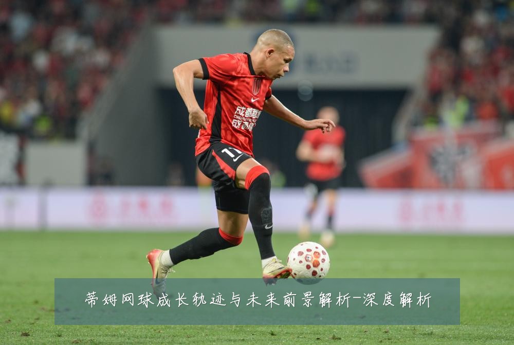 蒂姆网球成长轨迹与未来前景解析-深度解析